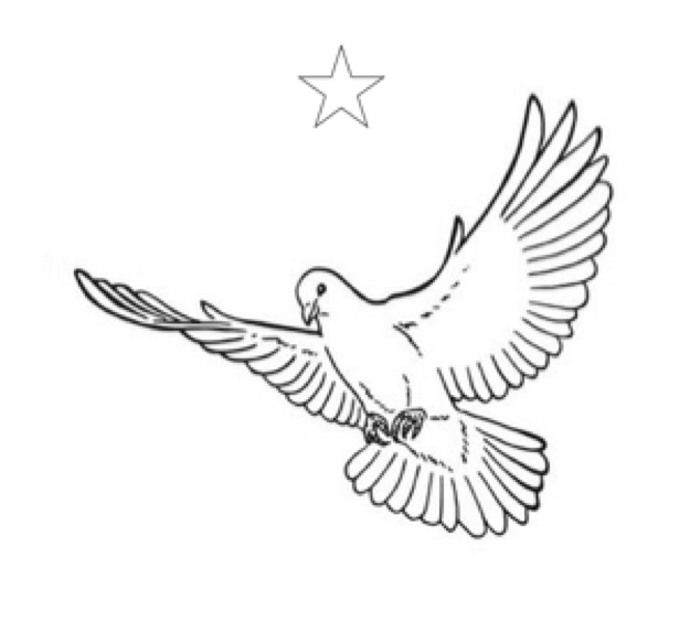 Taube und Stern
